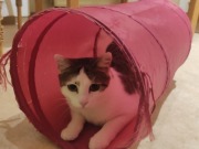 559287960_10162755962283371_6965188176037583479_n