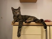 559732288_10162755962608371_1420732879669108731_n