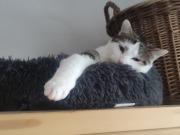 560555848_10162755961248371_8939388327955073742_n