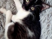 516632381_3373847416086790_1534332982575277078_n