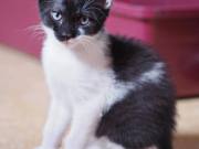 517123318_10234848572373253_9073429214661856373_n