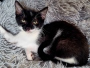 517340894_3373836152754583_7434826811790169235_n