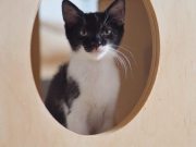 517360361_10235106975473169_3258578686348583324_n