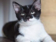 518353071_10235106975513170_6450315220646977655_n