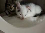 560014414_1366216921687906_8695155353173567704_n