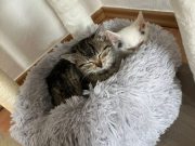 560063775_1366216768354588_111147003865090443_n