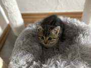 561973224_1366216748354590_3955804853986073204_n