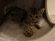 564599967_1368834168092848_1365420650652899932_n