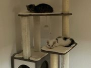 588877486_1404860521156879_6506195210256185901_n