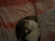 589115034_1404860467823551_4107266974014448565_n