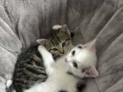 591025622_1404860481156883_4949249691764810726_n