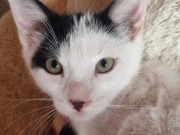 516401575_3373845136087018_2804982188672107391_n