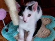 516443756_3373835549421310_3005413673664916540_n