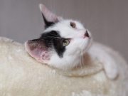 516800779_10235106775188162_5528287848537967299_n