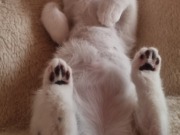 517029204_3373835596087972_7244216977589910961_n