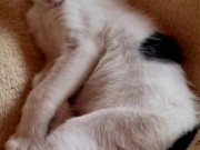 517358998_3373835652754633_1076954758022009779_n