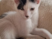 517869976_3378773912260807_8514547701299589775_n