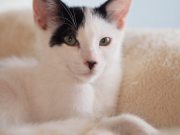 517981209_10235106775148161_4879709972341495876_n