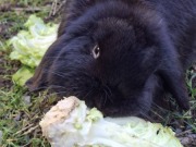 647133682_4499332537056144_8161765628653700884_n