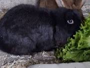 649273918_4499332743722790_7654510061870555578_n