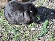 649487622_4499332463722818_3540114050984688384_n