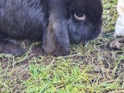 650386327_4499332690389462_3376423958214552380_n