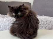 562403157_25134633699500980_3732558942931464820_n