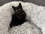 565102161_25134655646165452_329852399425263284_n