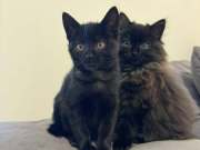 566316286_25134633412834342_7977165338407303066_n