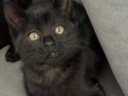 567672722_25134634966167520_758657170089370335_n