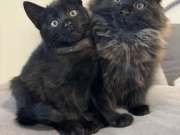 567678478_25134633972834286_64070657319523131_n