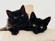 576459346_25301463326151349_8211744135376793082_n