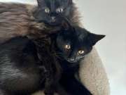 579819630_25355406197423728_2772735483476718737_n