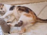 518399573_24332057889765457_4301071775668355382_n