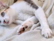 518402841_24332057763098803_8342866600489920132_n