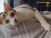 518410445_24332057303098849_8842585232747950774_n