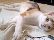 519598393_24332058143098765_6030309458015143751_n