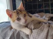 522629875_24332057459765500_824282174578626318_n