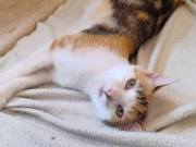 523316589_24332057623098817_2255937674705003229_n