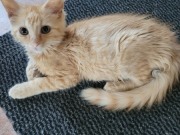 558956892_10214201886078653_8483362650218838853_n