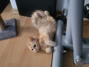 559135460_10214232431082259_6782793777341715678_n