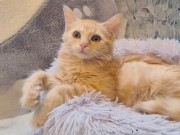 IMG_20251001_1107414613