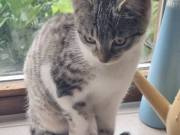 564733648_3478294408975423_8468706496762917191_n