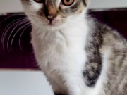 564781403_3478294818975382_9165545797160687451_n