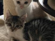 565120865_3478294222308775_5488580220646803917_n