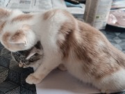 565314636_3478294725642058_2886183413661232876_n