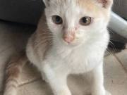 565335687_3478294342308763_798467511467413724_n