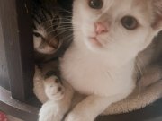 571211461_3491953480942849_6979393540383840610_n