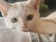 571431774_3491912277613636_2121271389681644652_n