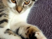 571503319_3491912440946953_5782528267133937614_n